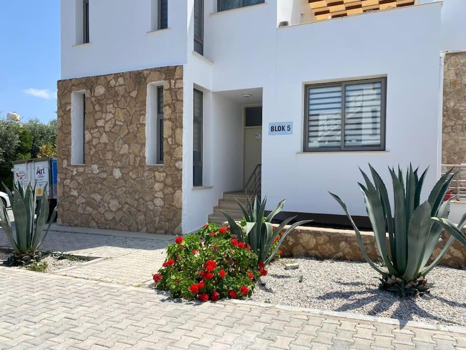 Girne/Zeytinlik 2+1 Muhtesem Terasli Daire Exterior foto